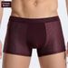 Pulse Cross-border Men's Ice Silk Underwear Hollow Breathable Boxer Sports Shorts Four-corner Mesh Underpants Factory Direct_viptrois.com