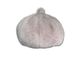 New Beret Pumpkin Fur Women's Raffia Style Winter Versatile Plush Hat For Women_viptrois.com
