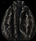 Women’s Fleece-Lined Cropped Jacket – Velvet Touch Chenille Coat, Stand Collar & Sleeveless (Black/Brown/Leopard, S-2XL, Stretch Spandex Blend)_viptrois.com
