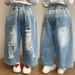 Letter Hole Jeans 0895 Blue Princess New Children's Miscellaneous European And American Jeans_viptrois.com