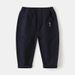 Children's Pants Wholesale New Boys' Casual Trousers Korean Style Baby Embroidered Pants One Piece Trendy_viptrois.com