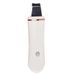 Skin Scrubber Spatula – Blackhead Remover & Pore Cleaner For Deep Cleansing_viptrois.com
