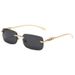 Retro Square Sunglasses – Rimless Cheetah Print Metal Frame For Men & Women_viptrois.com