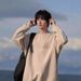 Printed Heavy Crew Neck Sweater Men's Winter Early Autumn Fleece Hatless Loose Boys Pullover_viptrois.com