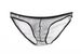 Pulse Comrade Men's Underwear Export European And American Style See-through Fine Mesh Pouch Low Waist Briefs Plus Size C-034_viptrois.com