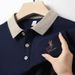 Men's Wrinkle-Free Embroidered Polo Shirt – Business Casual Long Sleeve Top For Dads & Professionals (M-4XL, 5 Classic Colors)_viptrois.com