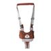 XUANMU Baby Walker Toddler Harness Assistant Backpack Children Kids Walking Learning Belt Netting Fabric Removable Crotch XB024_viptrois.com