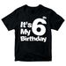 It's My 6th Birthday Boys Girls 100% Cotton T-shirt Mens Tees Top Birthday Years Old Gift Present_viptrois.com