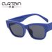 Trendy Ins 2022 New Women UV Protection Personality Street Style Sunglasses Korean Version_viptrois.com