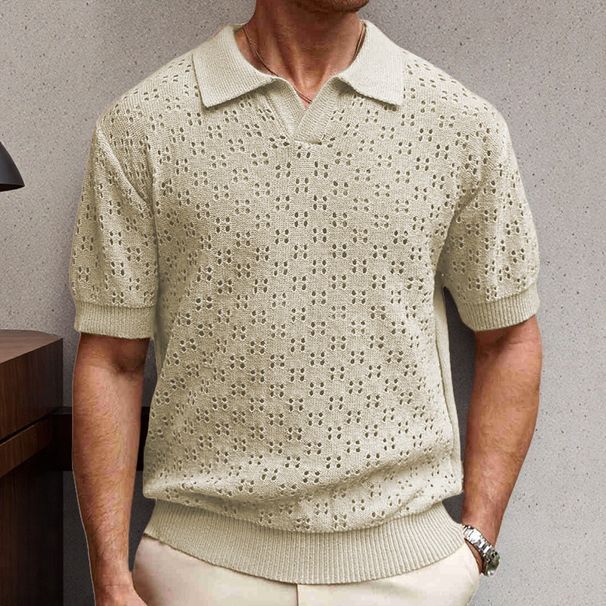 Men's Clothing Men's Casual Sweaters Fashion Swallowtail Collar Cool Silk Knitted POLO Shirt SY0028_viptrois.com