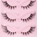 Beauty Health 5 Pairs Of Oblique Flying Fox False Eyelashes Natural Thick Curling Eyelashes Simulated Cat Eye Eyelashes_viptrois.com