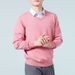 Pure 2024 Autumn Winter V-Neck Pullover Men's Sweater Plus Size Long Sleeve Basic Knitted Base Shirt_viptrois.com