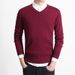 Autumn Pullover New Slim Fit Sweater Youth Solid Color Casual Business Men's Inner Wear V-Neck Base Shirt_viptrois.com