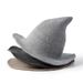 Unisex Halloween Hat Witch Hat Wool Wizard Hat_viptrois.com