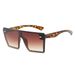 2025 Trendy Polygonal Frameless Sunglasses For Women - High-End Square Large Frame Retro Fashion (One Piece Style)_viptrois.com