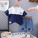 2025 New Summer Children's Men's Color Contrasting Bear Short Sleeve Cartoon Round Neck Top Shorts Two Piece Set_viptrois.com