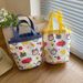 Women’s Bags Canvas Bag Tote Bag Office Worker Lunch Box Bag Cartoon Cute Bucket Small Bag Original Lunch Bag_viptrois.com