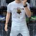 The Source Factory Sends A European 2024 Short-sleeved Men's Slim-fitting Mercerized Cotton Half-sleeved Tiger Head Hot Diamond T-shirt._viptrois.com