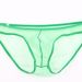 Pulse Men's Underwear Export European And American Style Sheer Fine Mesh Pouch Low Waist Briefs Plus Size C-034_viptrois.com