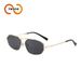 Two Circles Fashion Metal Frame Sunglasses - Best Selling Retro Style For Women & Men (Model T1367)_viptrois.com