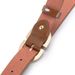Women's Belts New Leather Belt Jeans Decorative Belt Leather Fashion Women's Pin Buckle Retro Trend Belt Leisure_viptrois.com