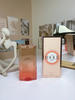 Vietnam Dubai Men and Women Idol Favourite Ultra thin perfume 23 styles 100ml_viptrois.com