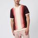 Men's Clothing Spring and Summer Leisure Multi Color Vertical Striped Stand Collar Knitted Top Men's Polo Shirt_viptrois.com