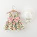 1695 Children's Clothing Wholesale Summer New Products Girls Sleeveless Dress Chest Big Bow Princess Dress Consignment_viptrois.com