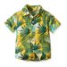 Hawaiian Shirt Multi Color Children's Lapel Trendy Cardigan Beach Hair Holiday Short Sleeved Flower Top Casual Jacket_viptrois.com