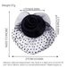 Republic Of China Style Hair Accessories - Bridal Veil Headdress With Mesh Hat & Hairpin Retro Cheongsam Dress Photo Props_viptrois.com