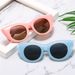 Men's Sunglasses Ins Net Red Sunglasses Anti Ultraviolet Sunglasses Fashion Elegant Ladies Cat Eye Sunglasses_viptrois.com