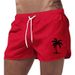 Men's Clothing Summer Beach Shorts Men's Sports Pants Fashionable Quick Drying Travel Polyester Multi Color Printing Can Be Printed With LOGO_viptrois.com