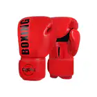 Boxing Gloves_viptrois