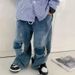 24 Spring And Summer New Children's Clothing Horse Brand Children's Thin Straight Jeans Boys And Girls Washed Hole Denim Pants_viptrois.com