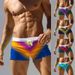 2025 Quick Drying Sports Shorts Men's Plus Size Loose Gradient Beach Pants Anti Glare Awkward Swim Trunks_viptrois.com