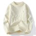 2026 Knitwear Lazy-Fashion Knit Pullovers Men Round Collar Broken Hole Long Sleeve Loose Thicken Sweater_viptrois.com