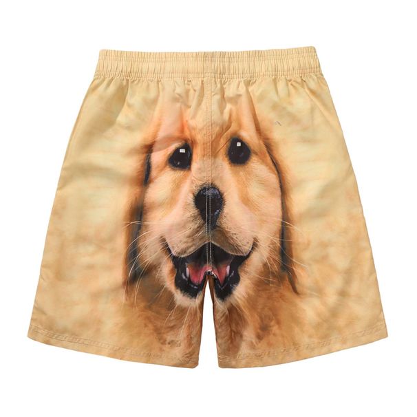 New Quick-Dry Beach For Men, Summer Swimming 4/5 Length Large Shorts With 3D Cartoon Animal Print_viptrois.com