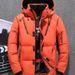 Men's Short Winter Casual Outdoor Thickened Hooded Down Jacket_viptrois.com