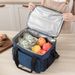Functional Bags 15L Insulation Bag Outdoor Large Picnic Bag Waterproof Oxford Cloth Ice Pack Lunch Thickened Car Insulation Bag_viptrois.com