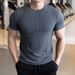 Men's Clothing Slim Fit Crew Neck T-Shirt Quick Drying Sports Fitness Top With Textured Cuffs Elastic Short Sleeve T-Shirt For Summer_viptrois.com