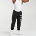 Men's Clothing Shark Fitness Loose Sports Pants Terry Breathable _viptrois.com