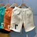 Men's Clothing Men's Summer Versatile Trendy INS Style Embroidered Shorts Loose Fit Sporty Casual Five Point Pants_viptrois.com