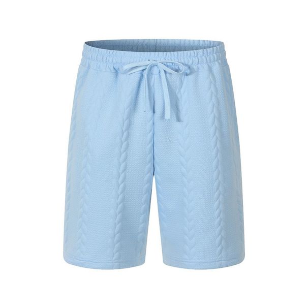 Men's Clothing Summer Hot Sale Men's Heavy Solid Color Twisted Jacquard Casual Loose Versatile Shorts Men_viptrois.com