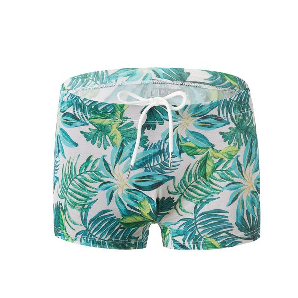 Pulse New European And American Style Men's Mesh Printed Swimming Cross-Border Drawstring Low Waist Boxer Trunks_viptrois.com