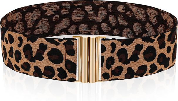 Stretch Waist For Women, Slim Wide Waistband, Vintage With Elastic Leopard Print, Retro Dress, Tuck, Flat Buckle, Dress_viptrois.com