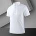 Men's Clothing Summer Men's Business Polo Shirt Ice Silk Skin Friendly Comfortable Fabric Lapel Business Casual Fashion Trend Short Sleeve_viptrois.com