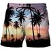 2023 Cross-border Summer New 3D Printed Beach Pants Holiday Sunset Landscape Shorts_viptrois.com