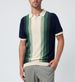 Men's Clothing Spring and Summer Leisure Multi Color Vertical Striped Stand Collar Knitted Top Men's Polo Shirt_viptrois.com