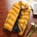 Men's Clothing Vest Spring Autumn Winter Thickened Coat Cardigan Loose Large Size Casual Men's Vest Vest_viptrois.com