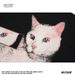 Oversized Unisex Hoodie With Dancing Cat Print - Cozy Long Sleeve Pullover For Autumn/Winter_viptrois.com